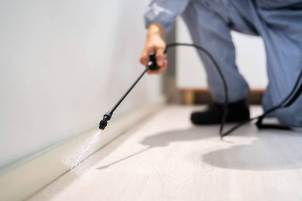 Licensed Pest Control service in North Canton, OH - Show Me Pest Control