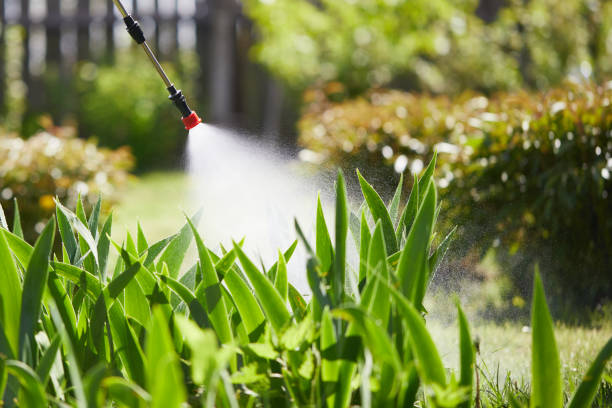 Tamper-Resistant Bait Stations for Rodents in North Canton