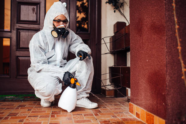 Attic and Crawl Space Rodent Treatment in North Canton